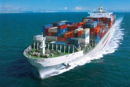 Các loại hàng hóa bạn nên ưu tiên sử dụng vận chuyển bằng đường biển